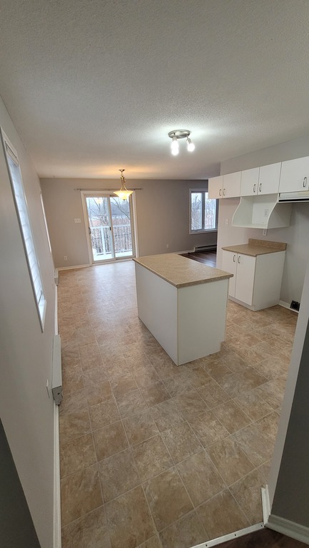 Grand 4 1/2 Sans Voisin Arrière | 3225778