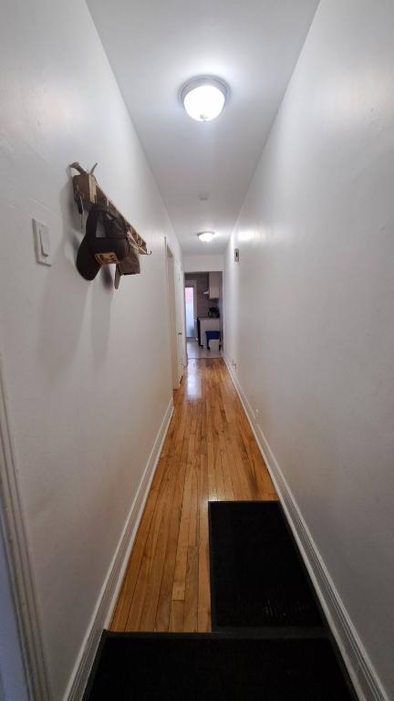 3 1/2 chambre ouverte- sur la Rue Bélanger (H1T 1B4) ; 3 1/2 open room | 3226322