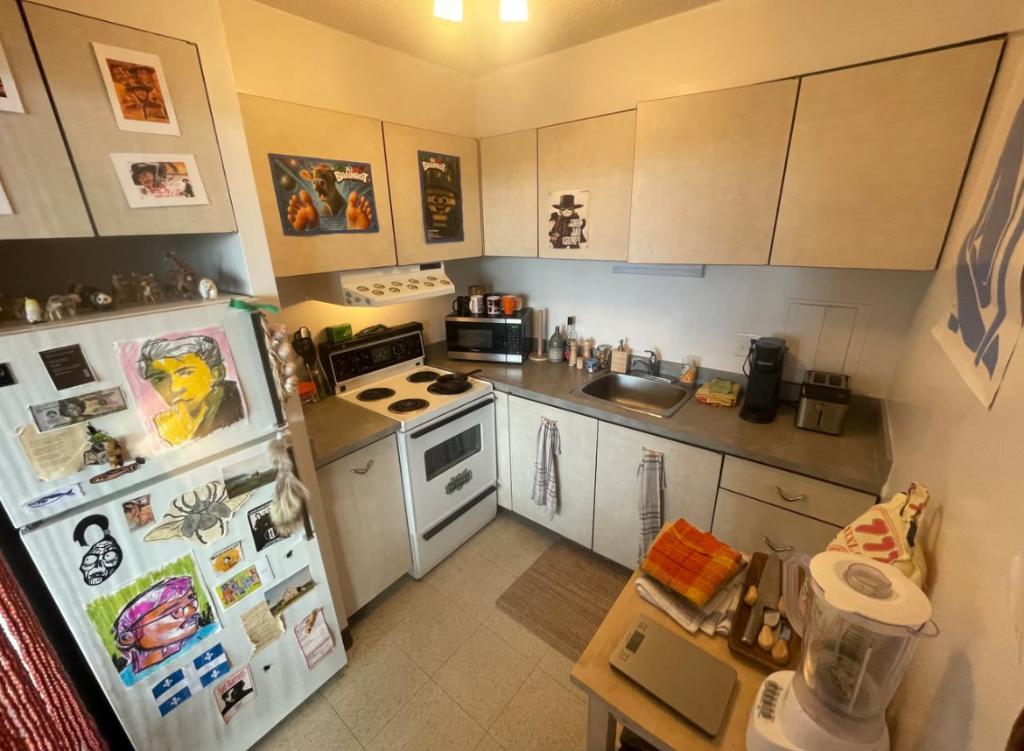 Grand studio 1 1/2 (498 pi2) - libre dès 1er mai (Cession de Bail) | 3226340