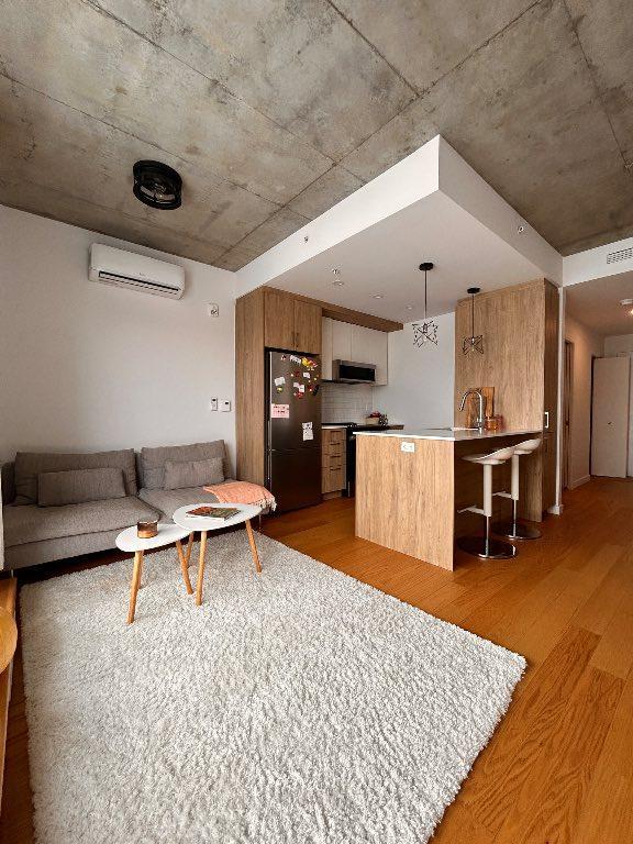 Appartement 3 1/2 ; cessation de bail jusqu'au 31 aout ; disponible 15 avril | 3226390