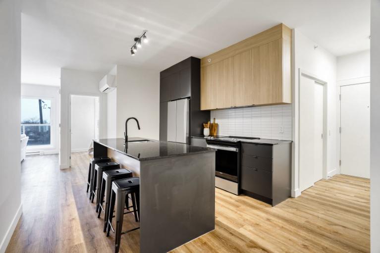 4 1/2 - Montréal (La Petite-Patrie) - 2 395 $/mois | 3226442