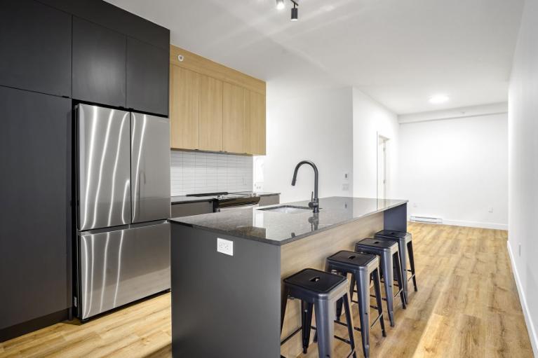 4 1/2 - Montréal (La Petite-Patrie) - 2 395 $/mois | 3226442