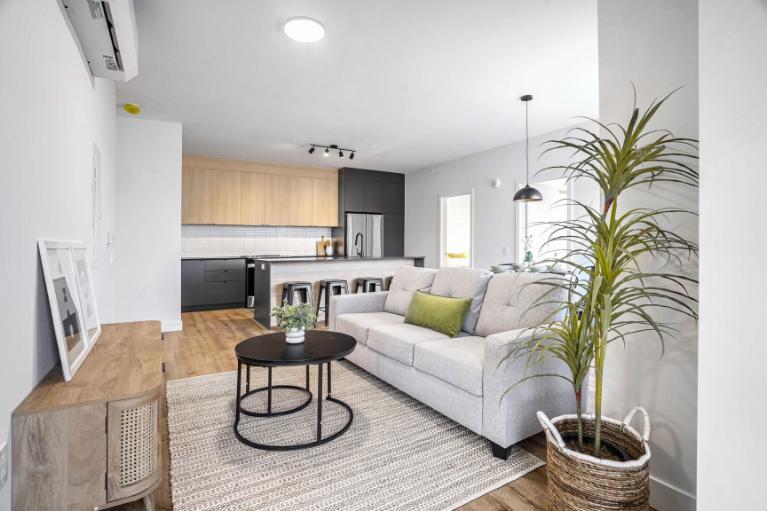 5 1/2 - Montréal (La Petite-Patrie) - 2 695 $/mois | 3226443