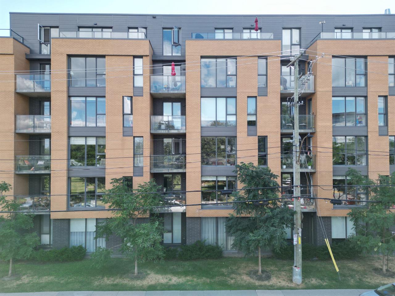 1 Bedroom - 250 Rue Gary-Carter, Montréal | 3226466