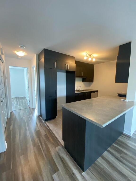 Appartements à Louer - 2 Chambres | 3226483