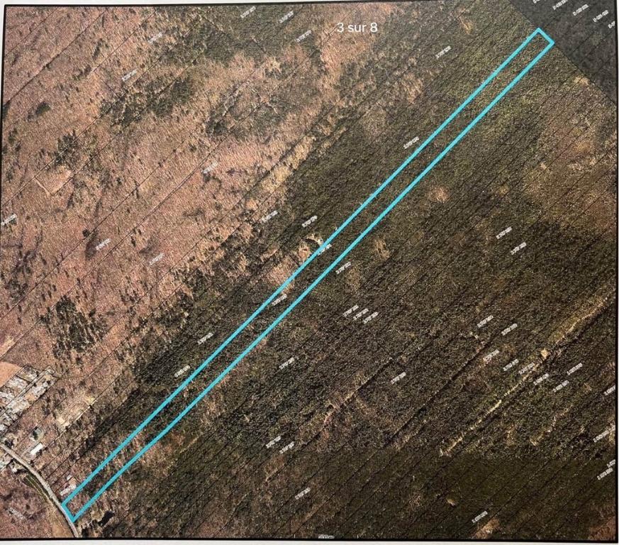 Terre à bois | 3226502