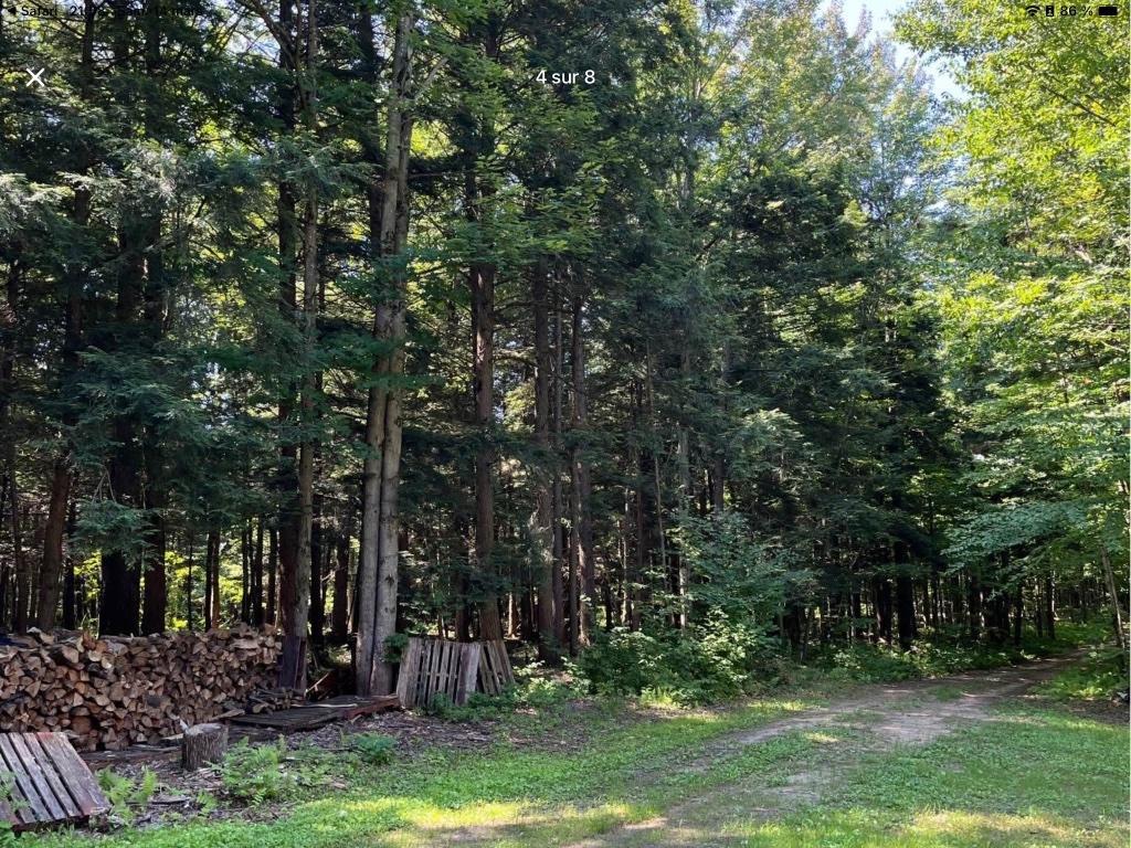 Terre à bois | 3226502