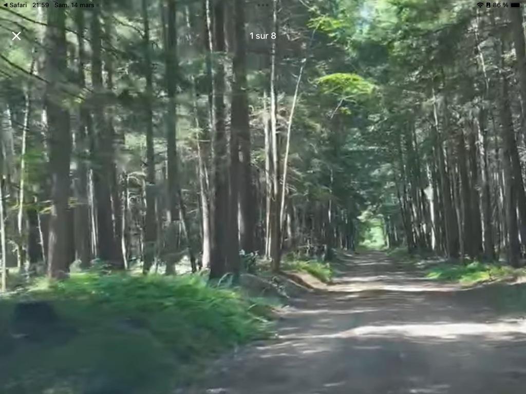 Terre à bois | 3226502