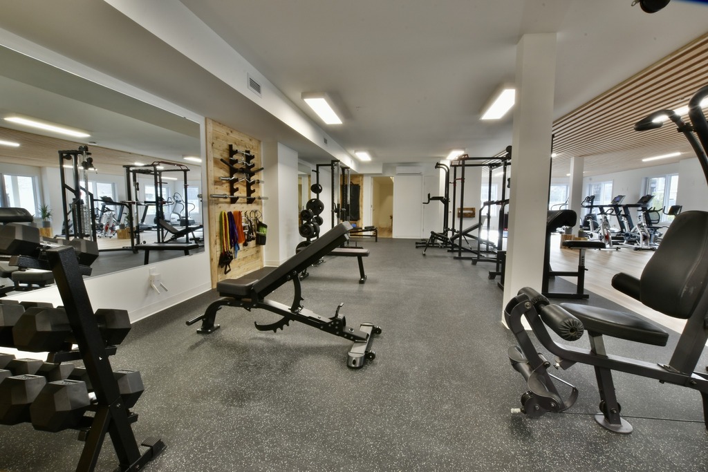 3 ½ à Louer, Gym Inclus! | 3226690