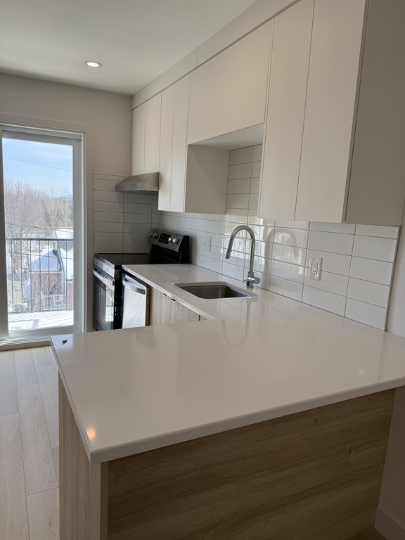 Superbe 4 ½ Entièrement Rénové à Louer – | 3226809