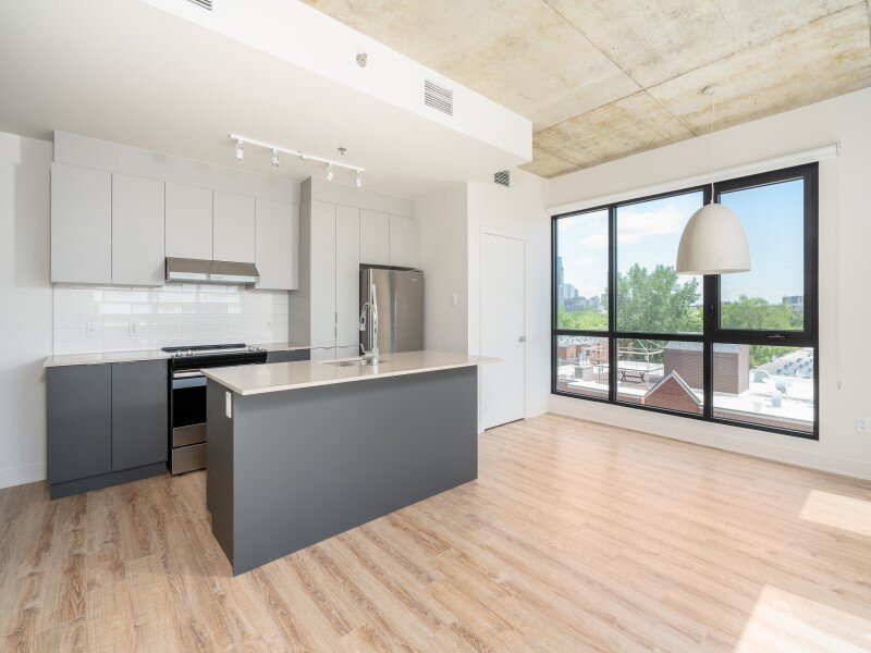 Studio - 230 Rue Dominion, Montréal | 3226869