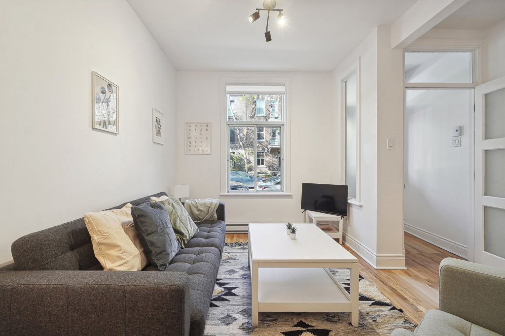 Appart Rénové Au Cœur Du Plateau | 3227007