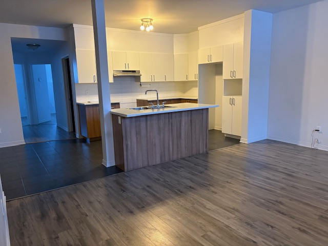 PLATEAU: 4 ½ + ÉLECTROMÉNAGERS À LOUER | 3227074