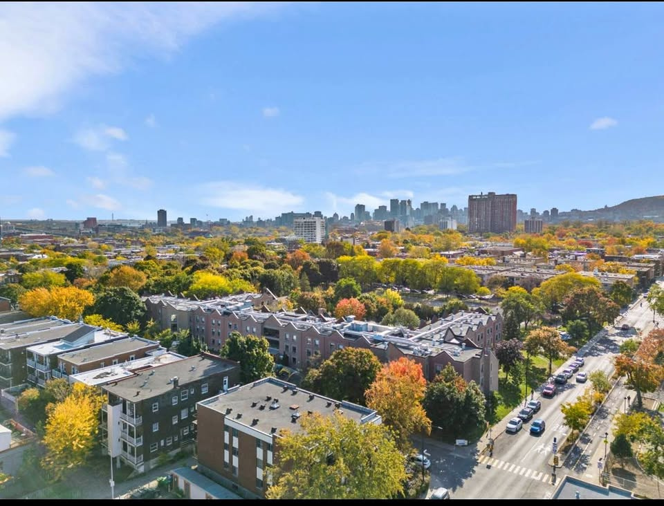 3 ½ Moderne – Plateau | 3227126