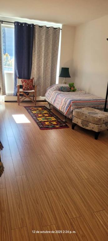 Charmant 1½ lumineux, bien entretenu, Ste-Famille/Prince Arthur | 3227174