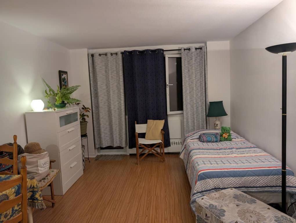 Charmant 1½ lumineux, bien entretenu, Ste-Famille/Prince Arthur | 3227174