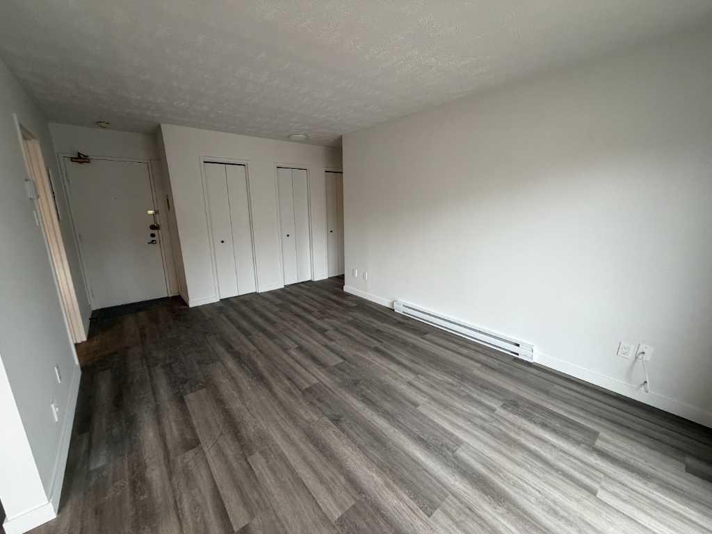 MAGINIFIQUE 3 1/2 - LIBRE IMMÉDIATEMENT - RÉNOVÉ | 3227191