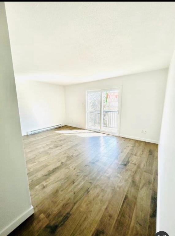 *Chien accepter appartement 4-1/2 | 3227200