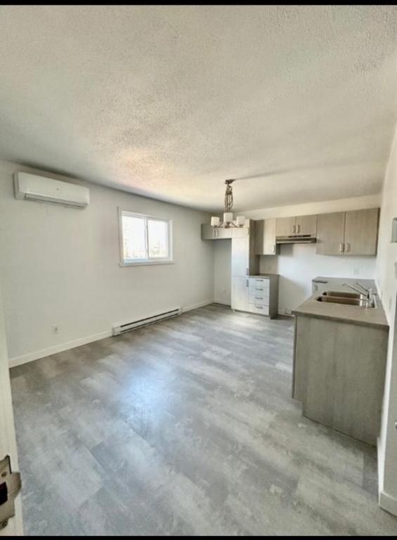 *Chien accepter appartement 4-1/2 | 3227200