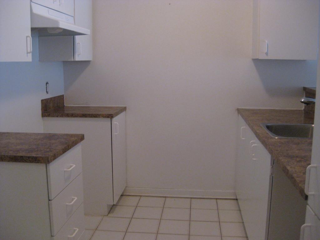 4 -1 2 800p.c. MAI $1,250 STYLE CONDO AIRE OUVERTE | 3227205