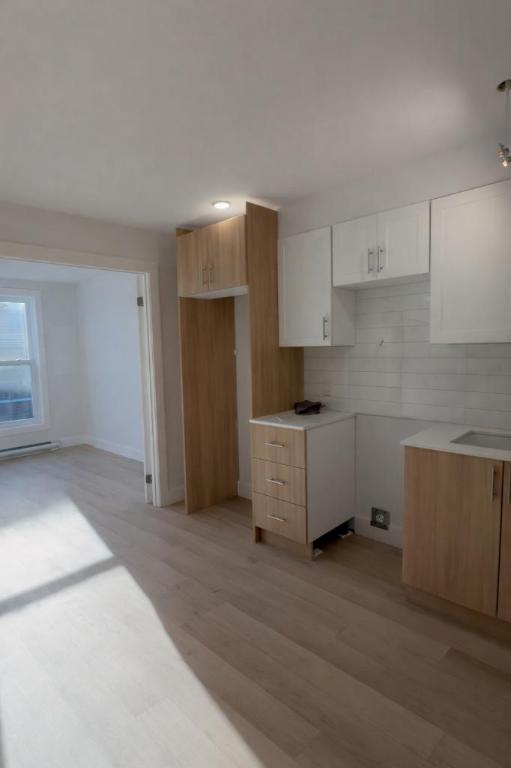 3 1/2 - Montréal (Centre-Sud) - 1 395 $/mois | 3227222