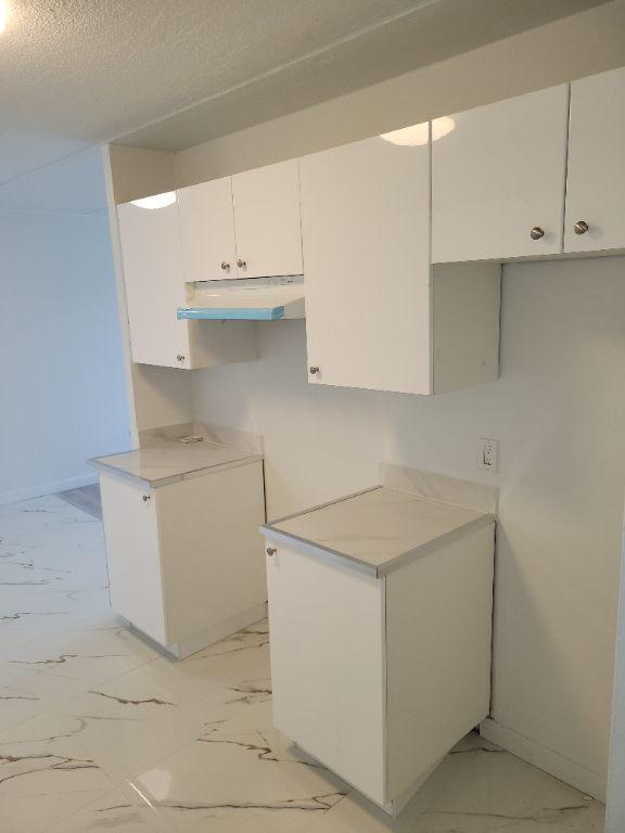 Très Bel Appartement 4 1/2 DDO à Louer - Boulevard des Sources | 3227254