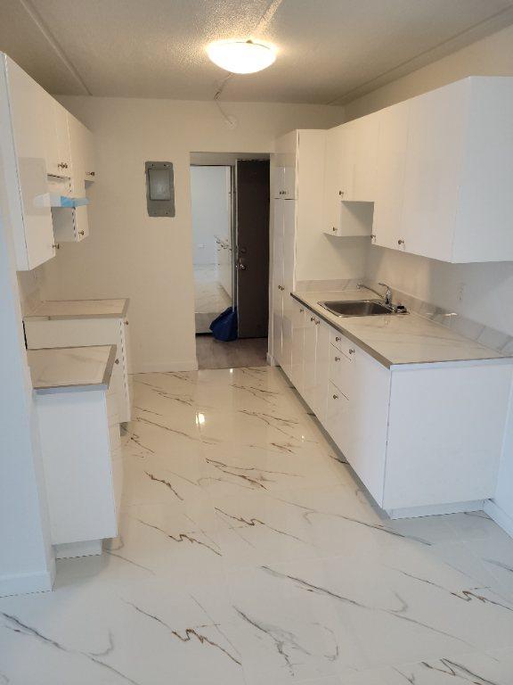 Très Bel Appartement 4 1/2 DDO à Louer - Boulevard des Sources | 3227254