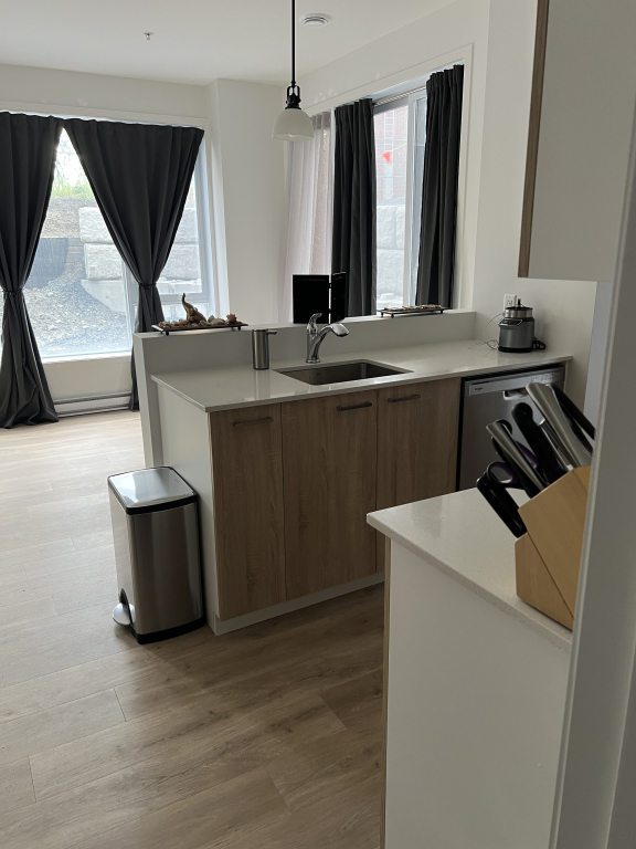 Appartment 4 1/2 Tout Inclus | 3227500