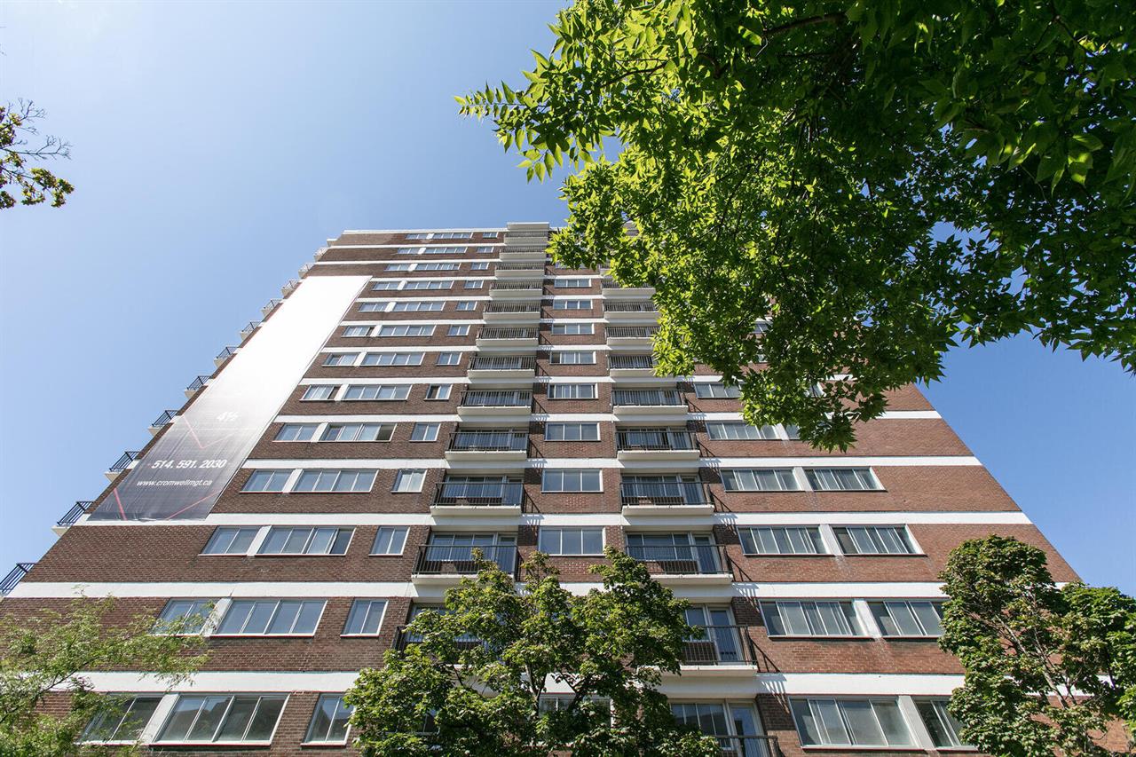 Le Plateau - 3605 St-Urbain - 1 Bedroom - 3605 Rue Saint-Urbain, Montréal | 3227592