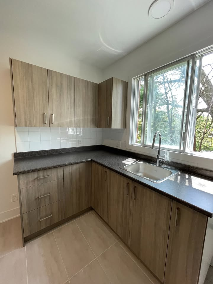 4-1/2 Insonorisé Animaux Acceptés | 3227640