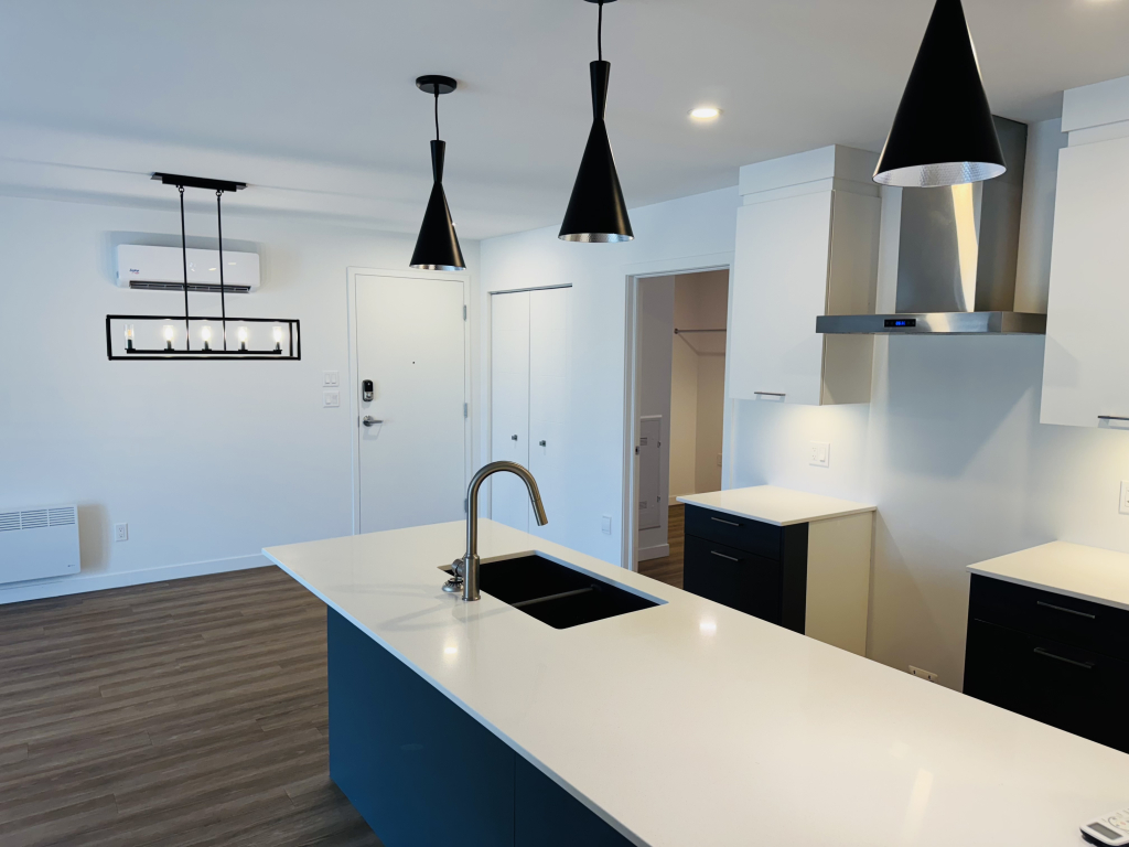 Appartement 5 1/2 | 3227665