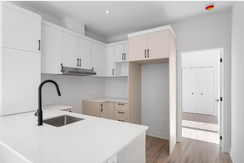 Logement Neuf à DEUX-MONTAGNES | 3227680