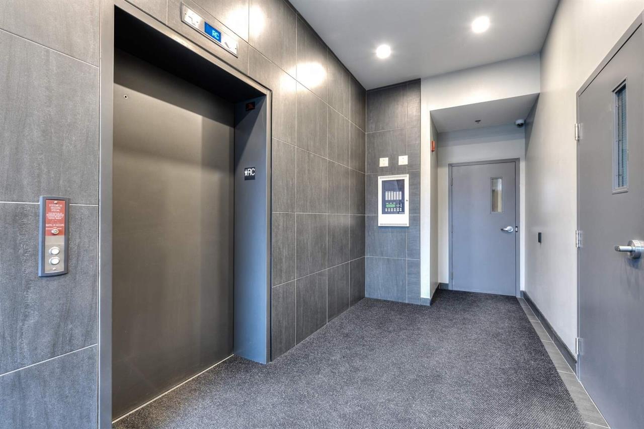 Moderne Appartement -2 Chambres – Disponible Le 1er Juin - 4115 Henri Bourassa Ouest, Montréal | 3227776