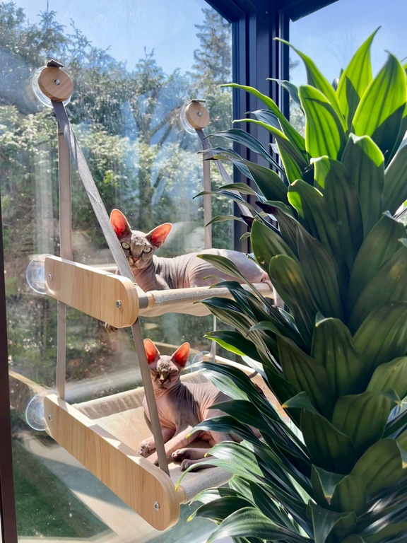 3 ½ à Louer, Animaux Acceptés! | 3227814