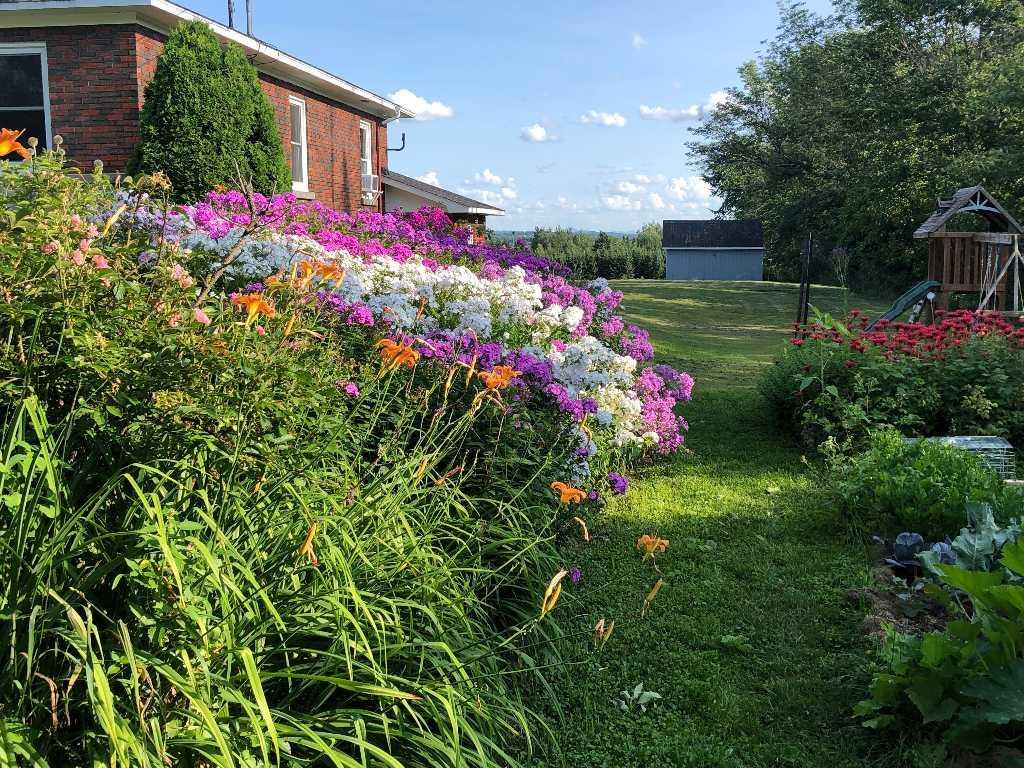 Appartement 3-1/2 à St-Denis de Brompton | 3228228