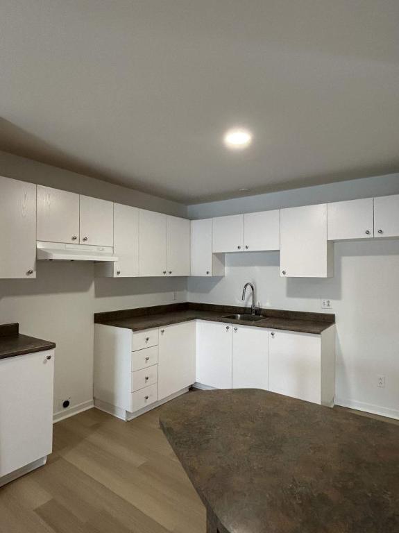 1 CH - 1 SDB - Saint-Charles-Borromée - $1,150 /mo | 3228235