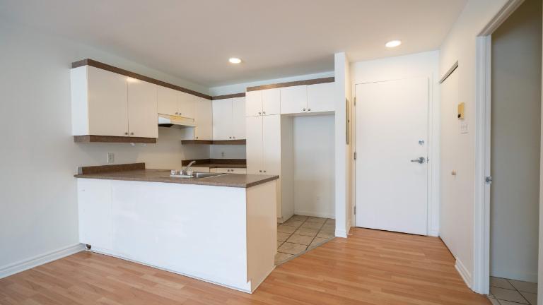 1 CH - 1 SDB - Saint-Charles-Borromée - $1,145 /mo | 3228236