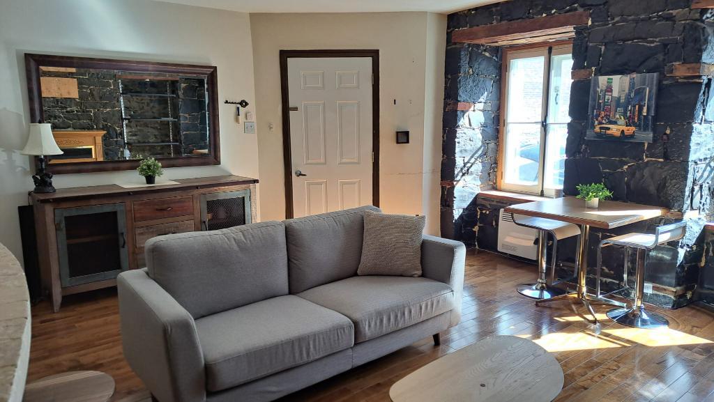 Bel appartement dans le Vieux-Québec! Entre le Château Frontenac et Place Youville! 100% meublé, laveuse, sécheuse! A qui la chance! | 3228237