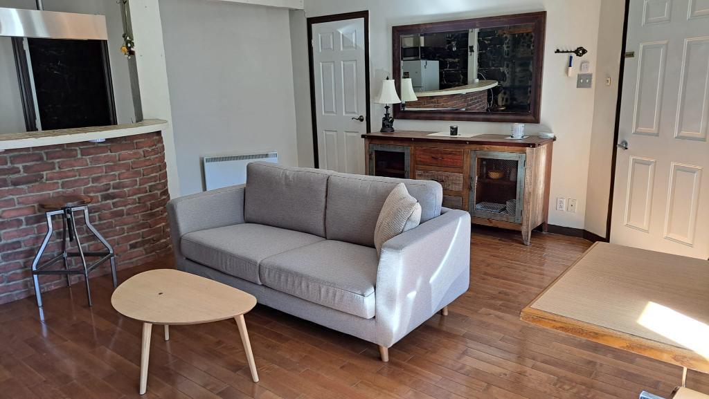 Bel appartement dans le Vieux-Québec! Entre le Château Frontenac et Place Youville! 100% meublé, laveuse, sécheuse! A qui la chance! | 3228237