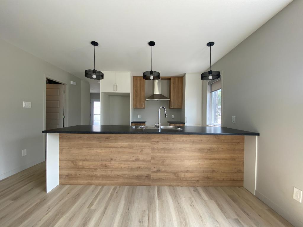 Logement 4 1/2 neuf à louer - 1 mois gratuit | 3228238