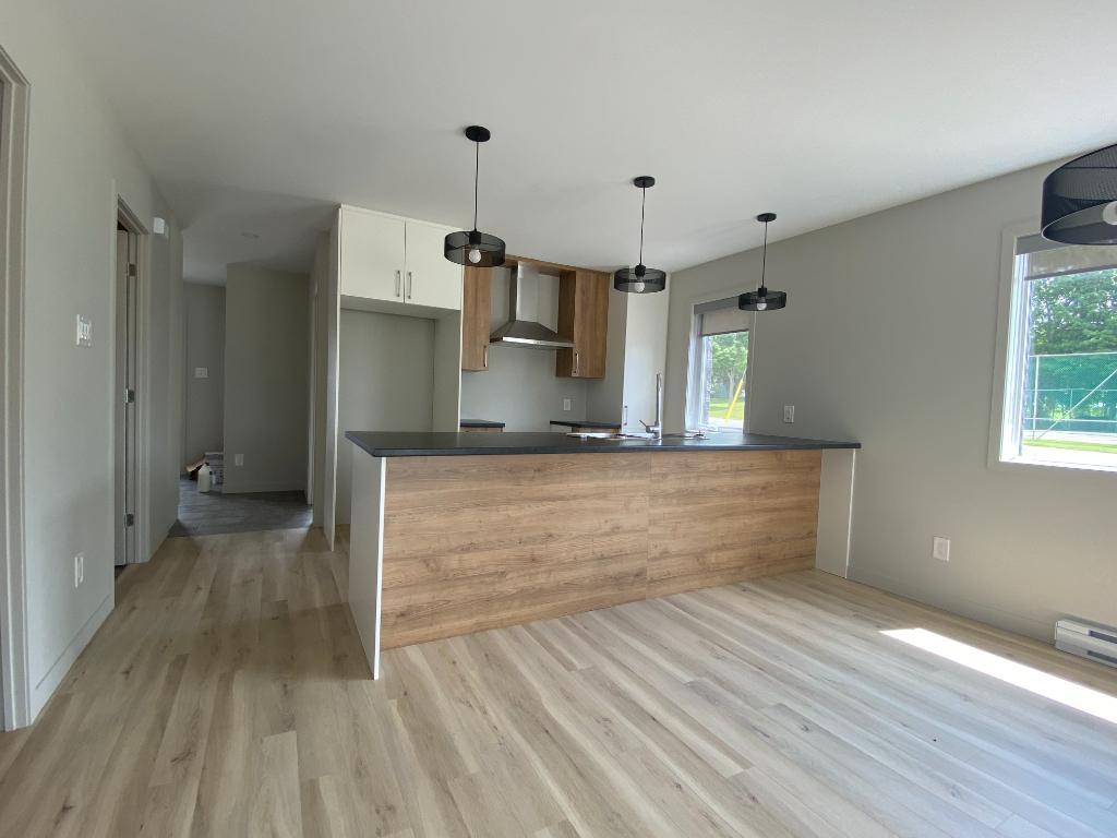 Logement 4 1/2 neuf à louer - 1 mois gratuit | 3228238