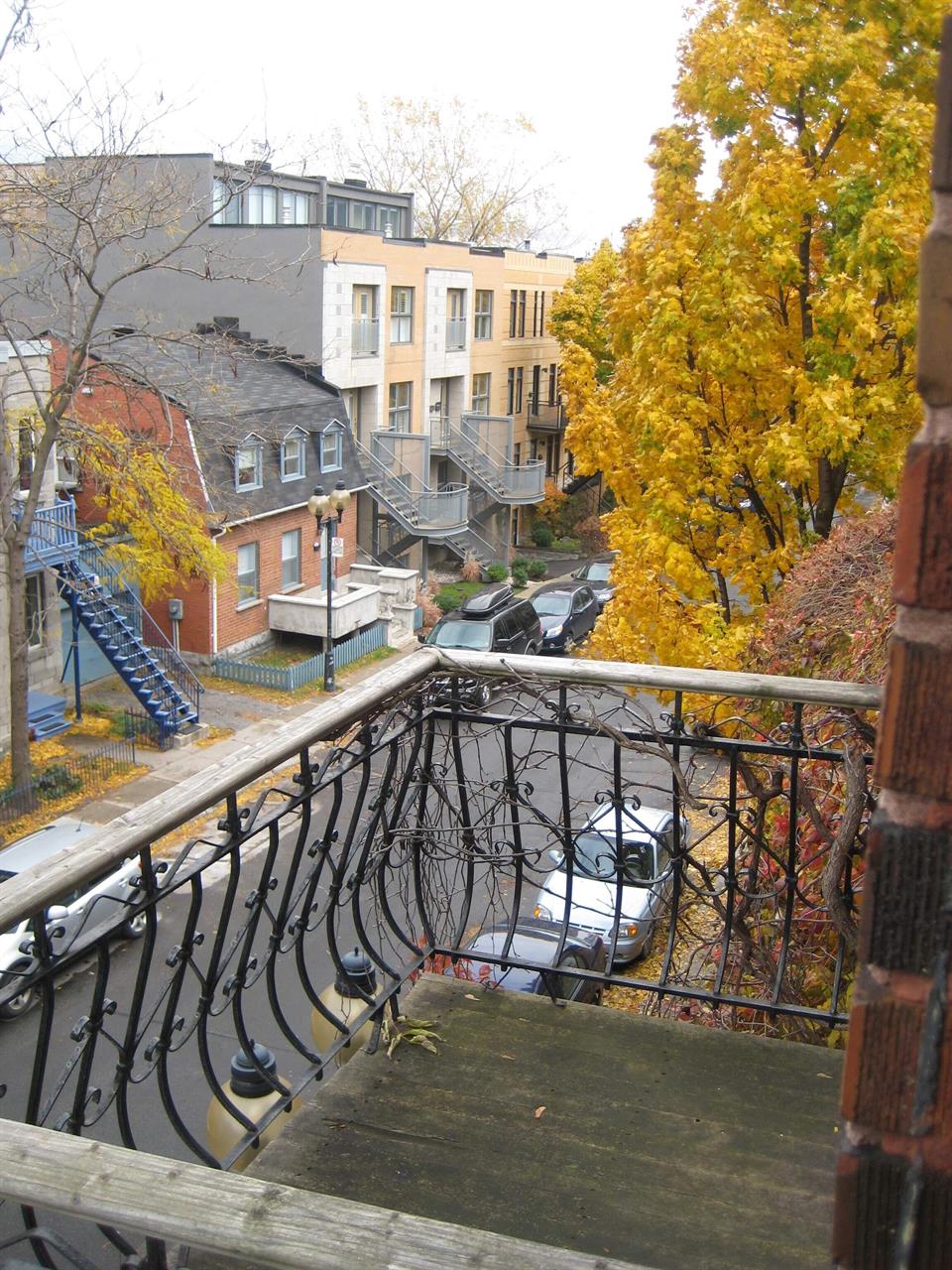 SUPER 4 1/2 ENSOLEILLE 2 BALCONS AU COEUR DU PLATEAU | 3228253