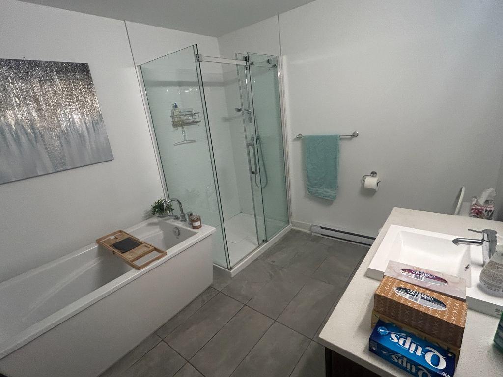 Très grand 4 1/2 à louer 1er juillet 2026 | 3228325