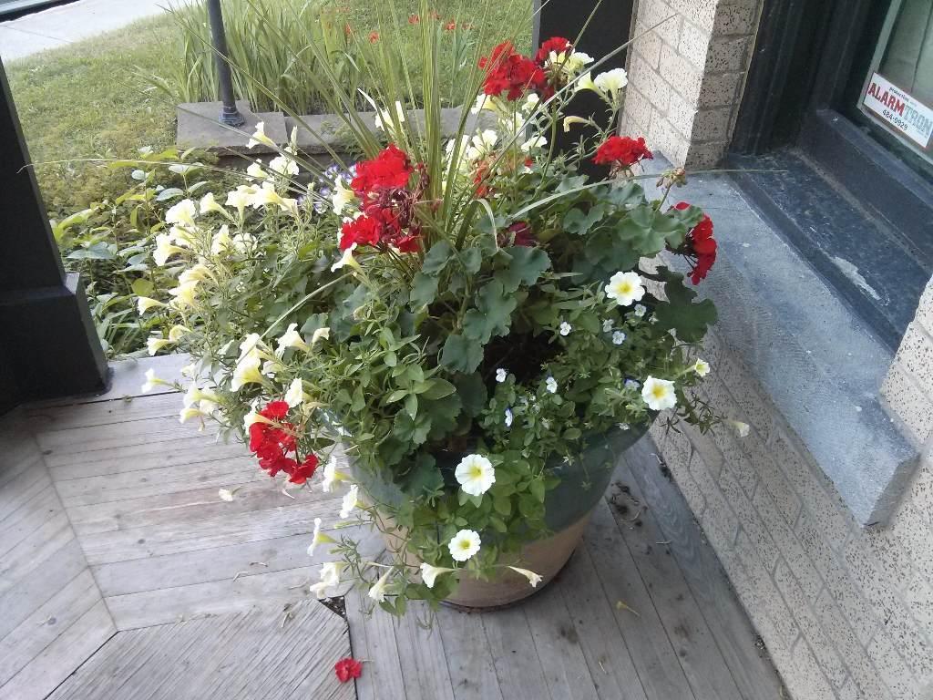 NDG, haut duplex, 2chambres, style condo dans maison 1914 | 3228351