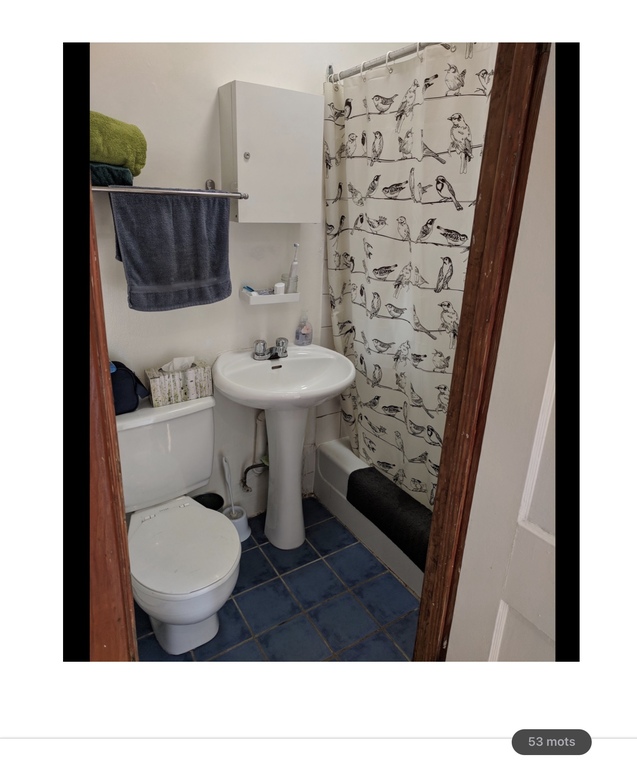 Sympathique 4 1/2 Dans Villeray | 3228425