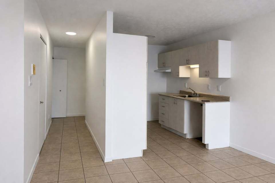 4 ½ RÉNOVÉ|FLEURIMONT|1 MOIS GRATUIT | 3228520