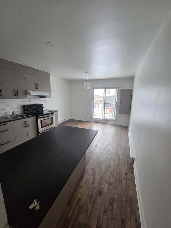 Hochelaga - Beau 3 1/2 Rénové | 3228536