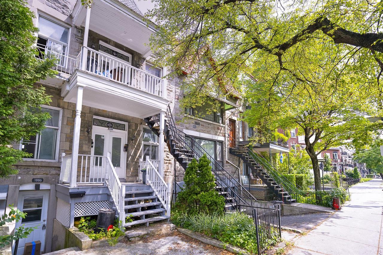 4 1/2 Main/RdC + Balcon/y (Parc Lafontaine) - 1882-1886 Sherbrooke East, Montréal | 3228549