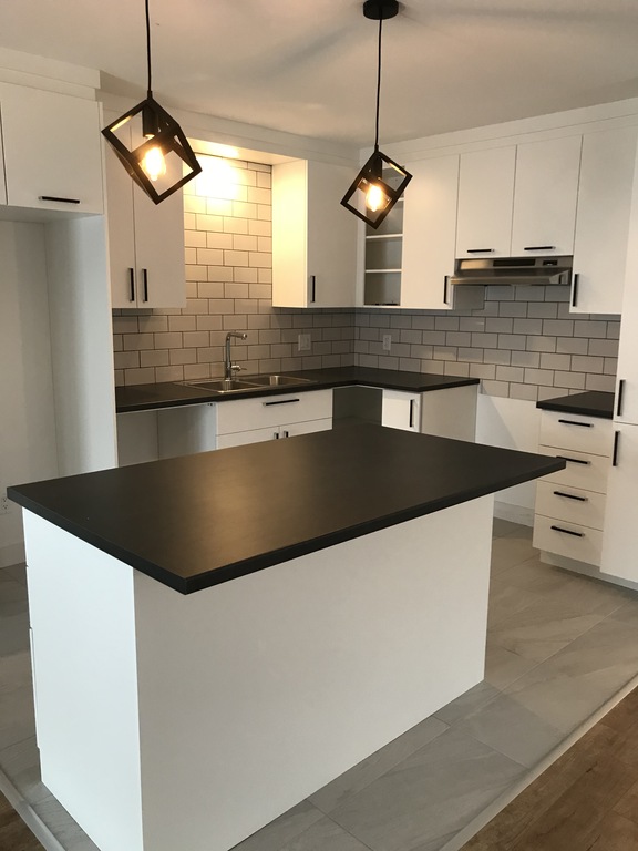 Spacieux 5 1/2 Libre Mars | 3228604