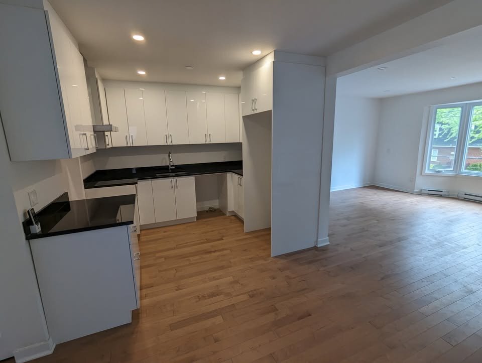 4 1/2 Lumineux à Ville Saint-Laurent | 3228651